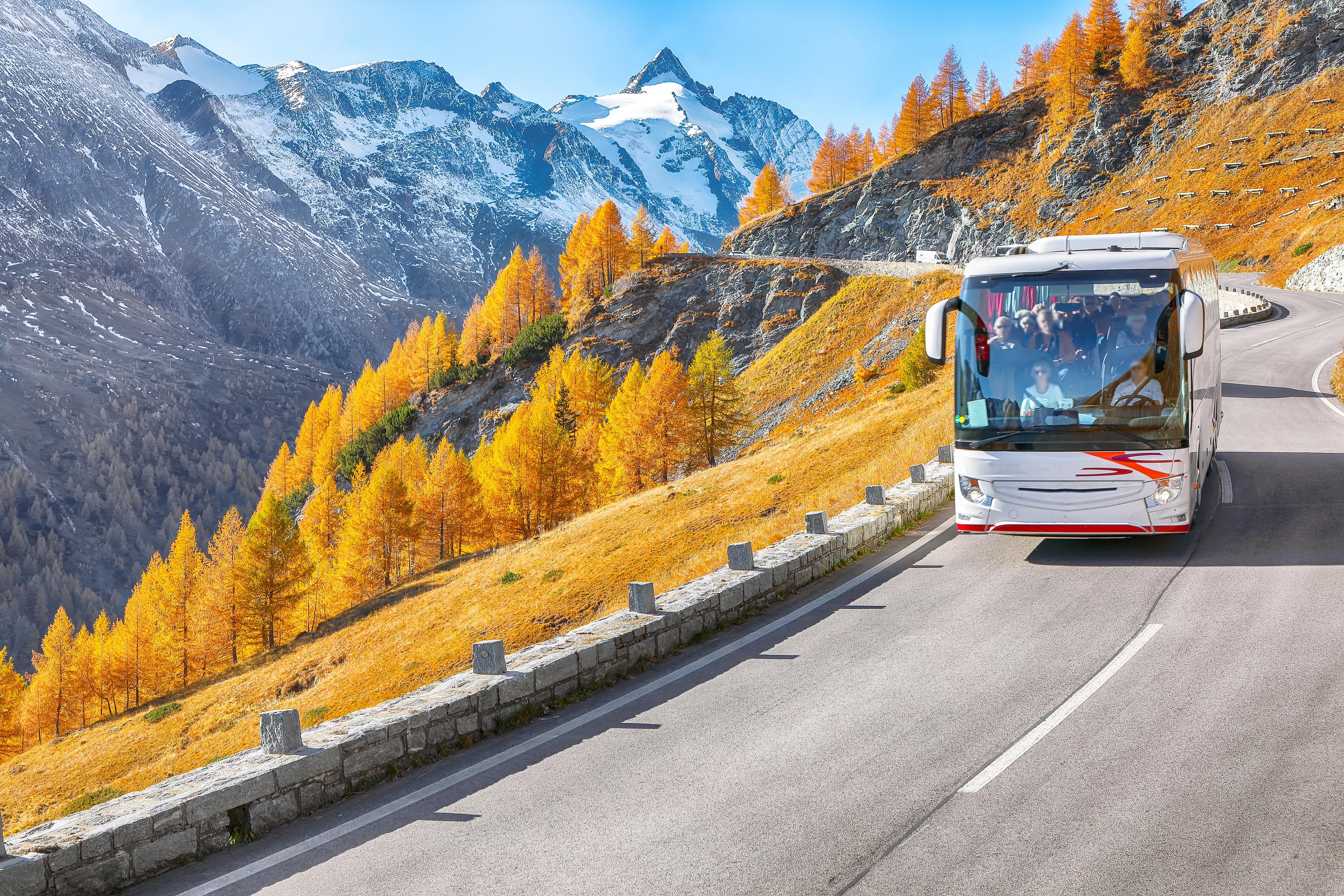 Global Bus Hire hero